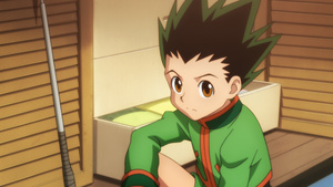 Hunter x Hunter (2011)